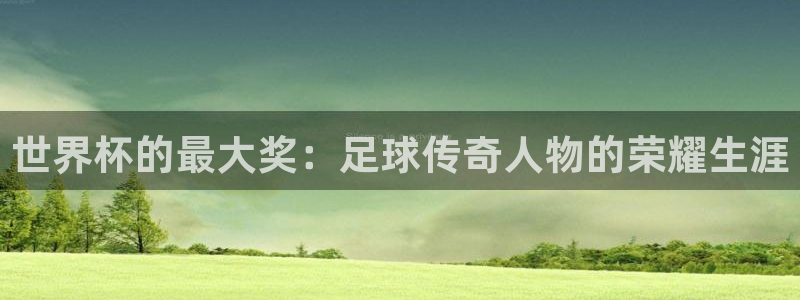 世界杯预选赛赛程表：世界杯的最大奖：足球传奇人物的荣耀生涯