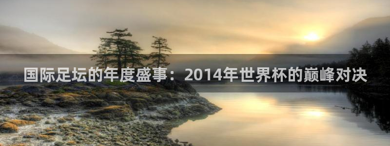 世界杯球队：国际足坛的年度盛事：2014年世界杯的巅峰对决