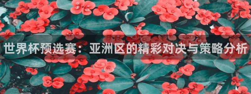 足球杯：世界杯预选赛：亚洲区的精彩对决与策略分析