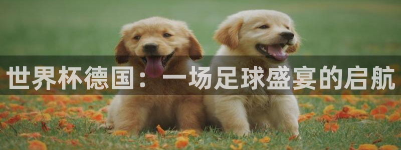 葡萄牙世界杯赛程：世界杯德国：一场足球盛宴的启航