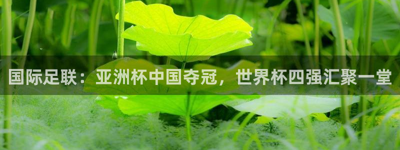 亚洲杯比赛直播：国际足联：亚洲杯中国夺冠，世界杯四强汇聚一堂