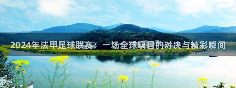 世界杯足球：2024年法甲足球联赛：一场全球瞩目的对决与精彩瞬间