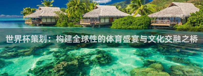 英格兰联赛杯直播：世界杯策划：构建全球性的体育盛宴与文化交融之桥