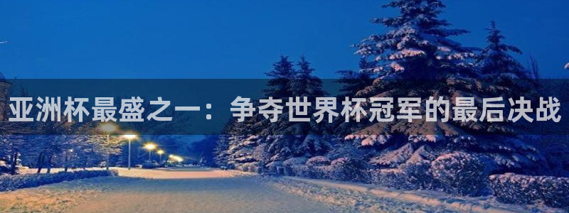 世界杯直播在线观看入口：亚洲杯最盛之一：争夺世界杯冠军的最后决战