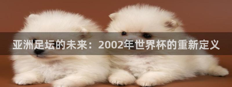 2026足球世界杯赛程时间表：亚洲足坛的未来：2002年世界杯的重新定义