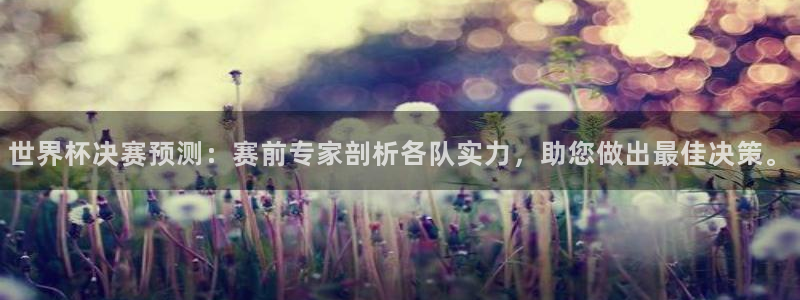 世界杯球赛：世界杯决赛预测：赛前专家剖析各队实力，助您做出最佳决策。