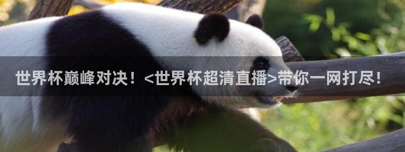 2026世界杯德国队阵容：世界杯巅峰对决！<世界杯超清直播>带你一网打尽！