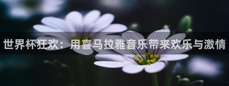 世界杯足球直播：世界杯狂欢：用喜马拉雅音乐带来欢乐与激情