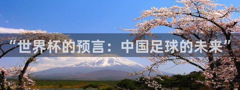 世界杯预选赛：“世界杯的预言：中国足球的未来”
