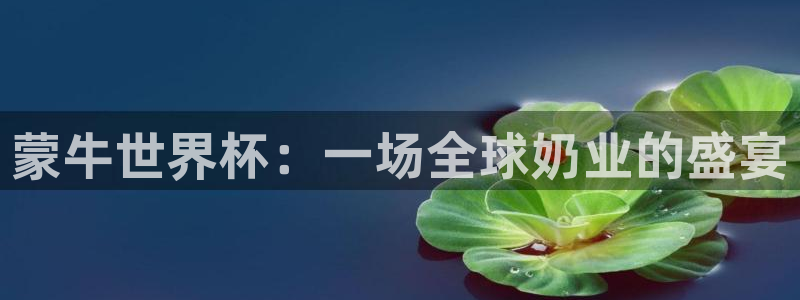 亚洲杯足球：蒙牛世界杯：一场全球奶业的盛宴