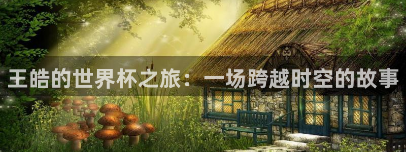 世界杯对阵表：王皓的世界杯之旅：一场跨越时空的故事