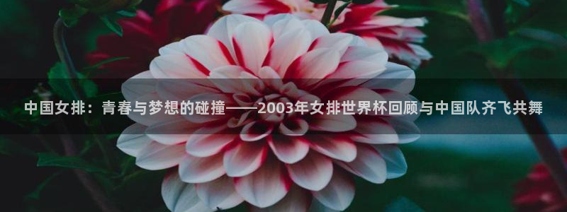 2006年世界杯：中国女排：青春与梦想的碰撞——2003年女排世界杯回顾与中国队齐飞共舞