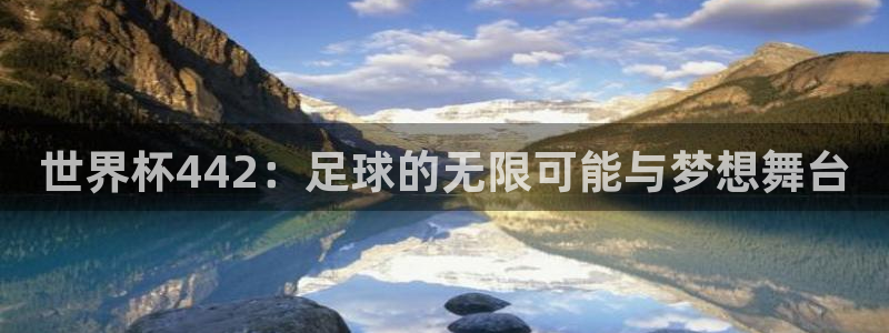 世界杯48支球队赛制：世界杯442：足球的无限可能与梦想舞台