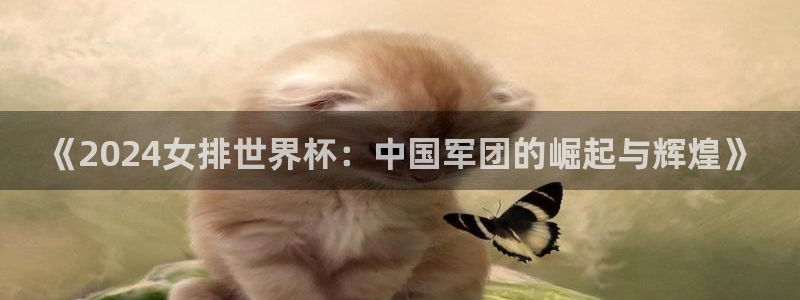 世界杯足球2026：《2024女排世界杯：中国军团的崛起与辉煌》