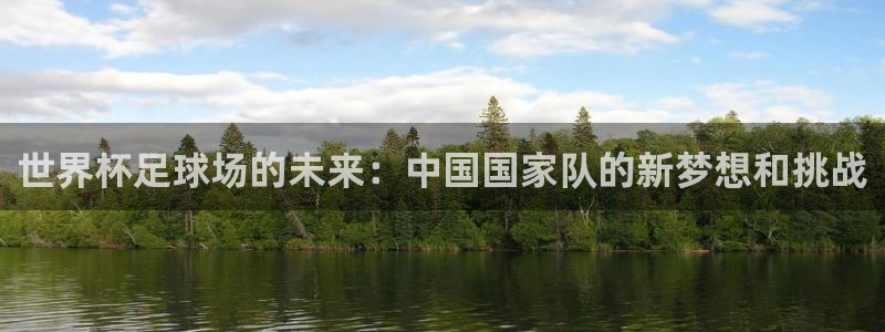 世界杯直播平台：世界杯足球场的未来：中国国家队的新梦想和挑战
